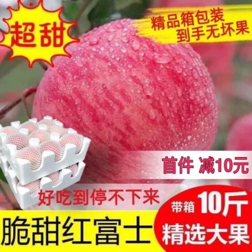 山东烟台红富士苹果水果新鲜当季栖霞脆甜整箱批发10斤5斤