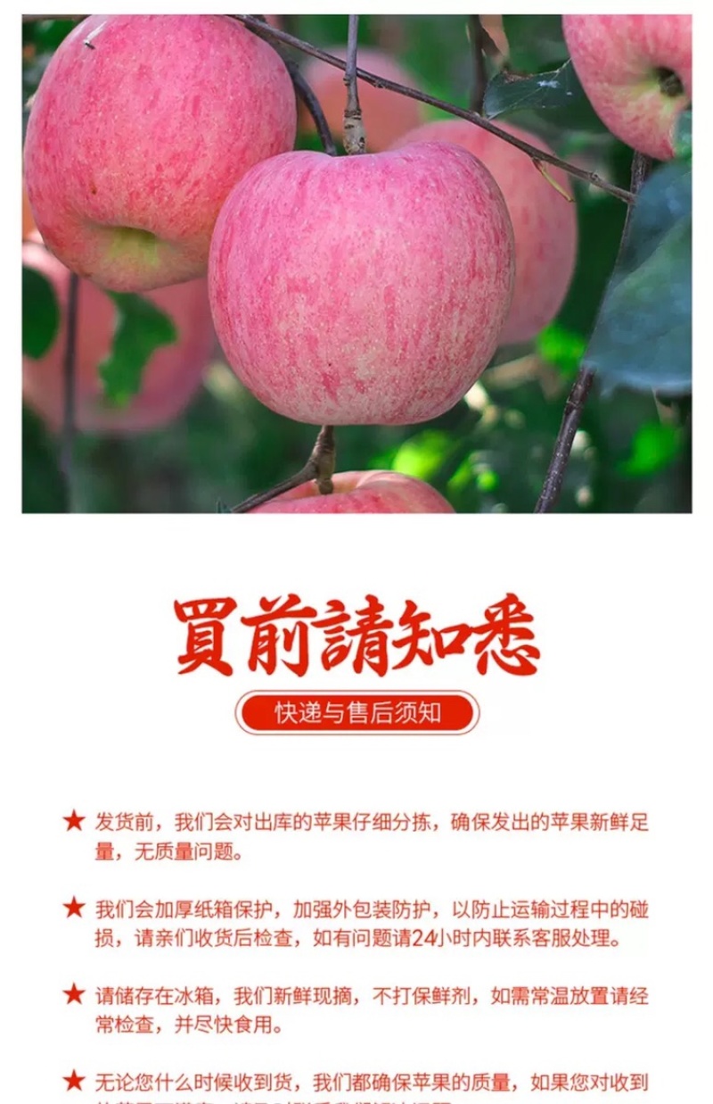 山东烟台红富士苹果水果新鲜当季栖霞脆甜整箱批发10斤5斤