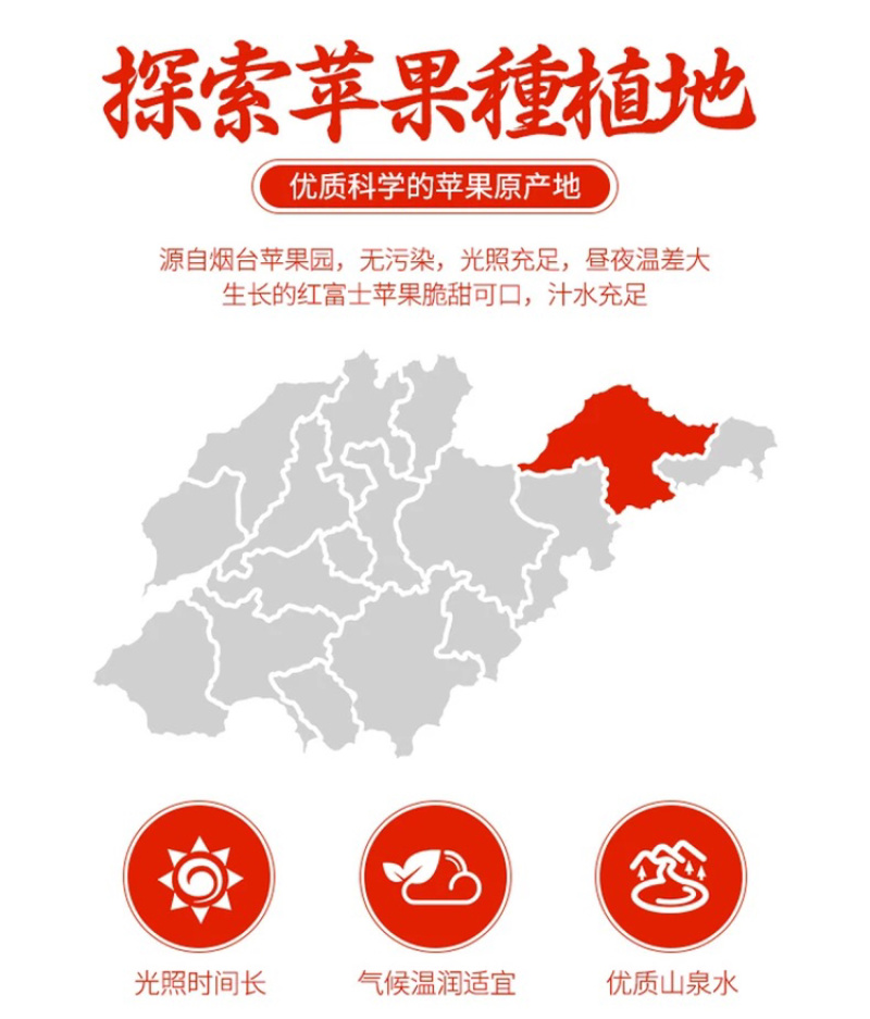 山东烟台红富士苹果水果新鲜当季栖霞脆甜整箱批发10斤5斤