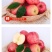 山东烟台红富士苹果水果新鲜当季栖霞脆甜整箱批发10斤5斤