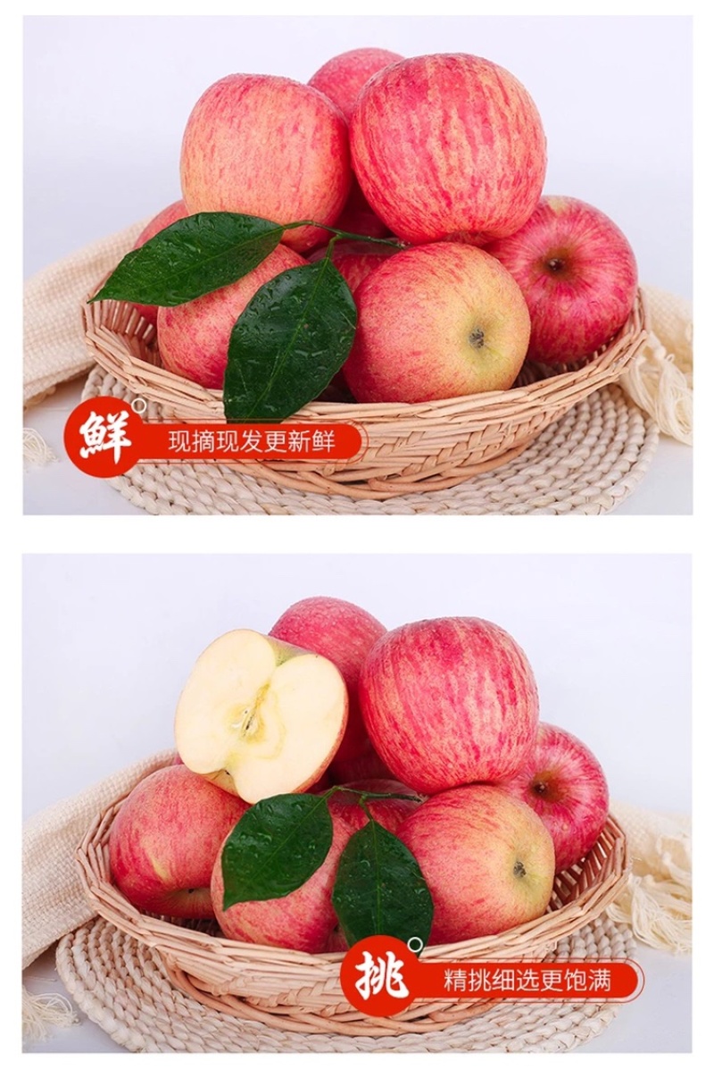 山东烟台红富士苹果水果新鲜当季栖霞脆甜整箱批发10斤5斤