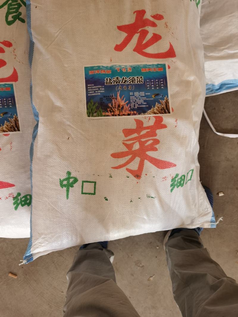 海石花）。。。。。。。。。。。。。。。。。。。。