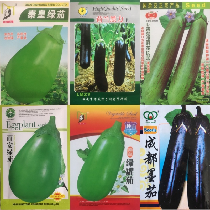 优质茄子苗，绿美系列，西安绿茄，紫茄，面包花茄，嫁接茄子
