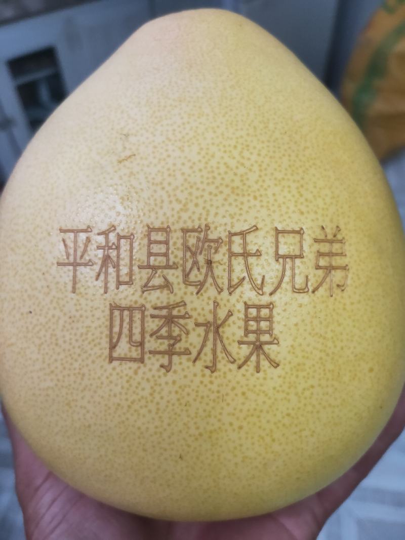 【正宗】琯溪蜜柚平和红心柚很甜很好吃基地直发