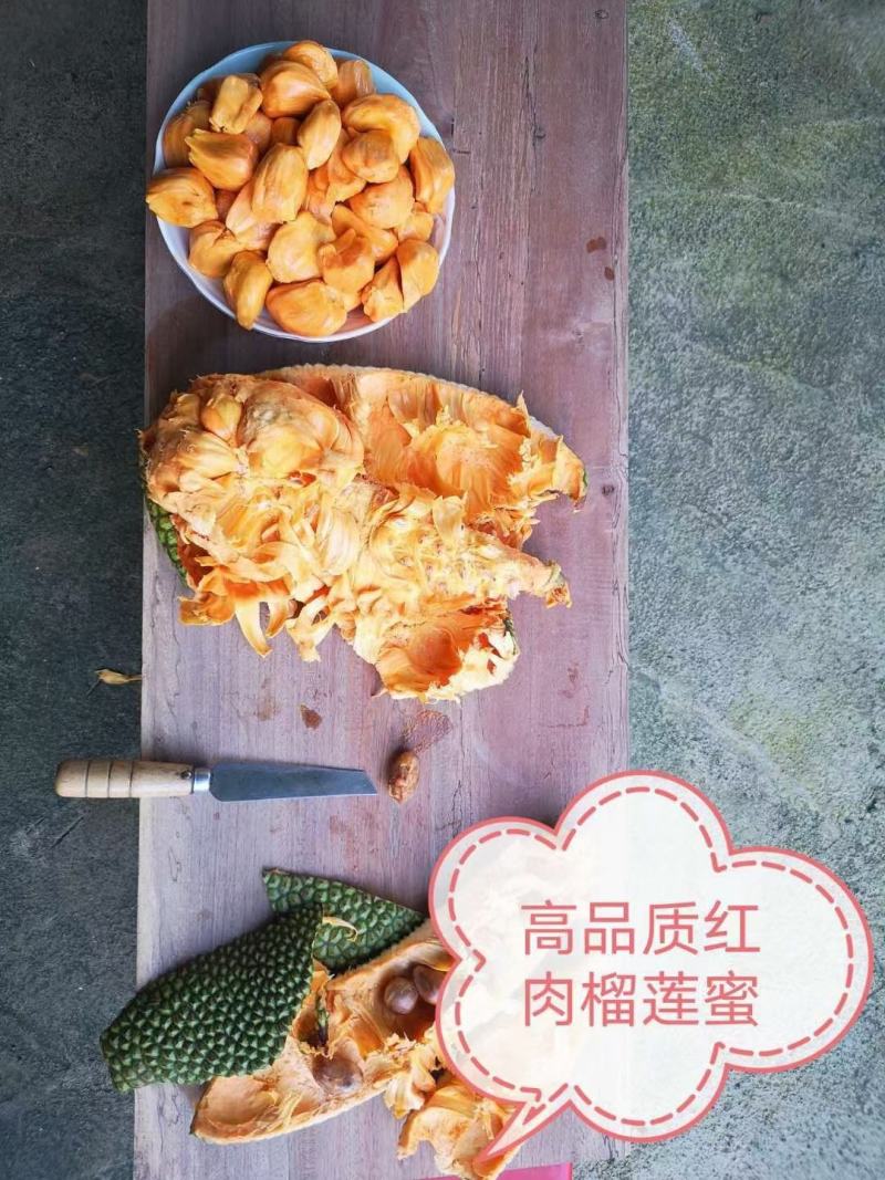 红肉，黄肉，榴莲蜜苗