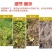 览博62%麦草三氯吡灌木牛筋草竹林恶性藤蔓蕨类除草剂