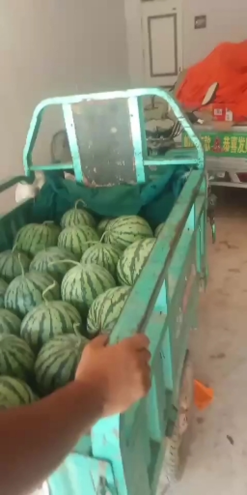 美都(蜜罐)西瓜(南王店早春大棚)