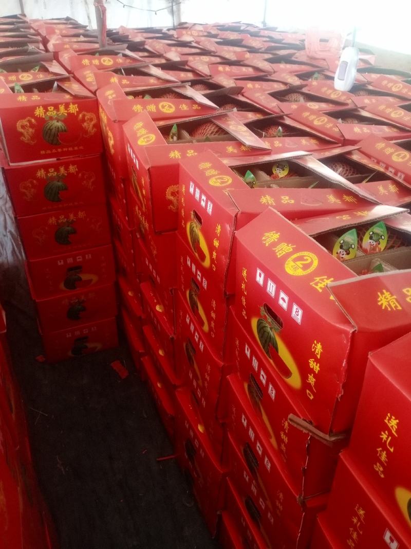 河南美都西瓜产地直发电商一手货源质量保证量大价优欢迎致电