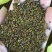 紫云英种子为果园绿肥,轮作,颗粒饱满,可供观花