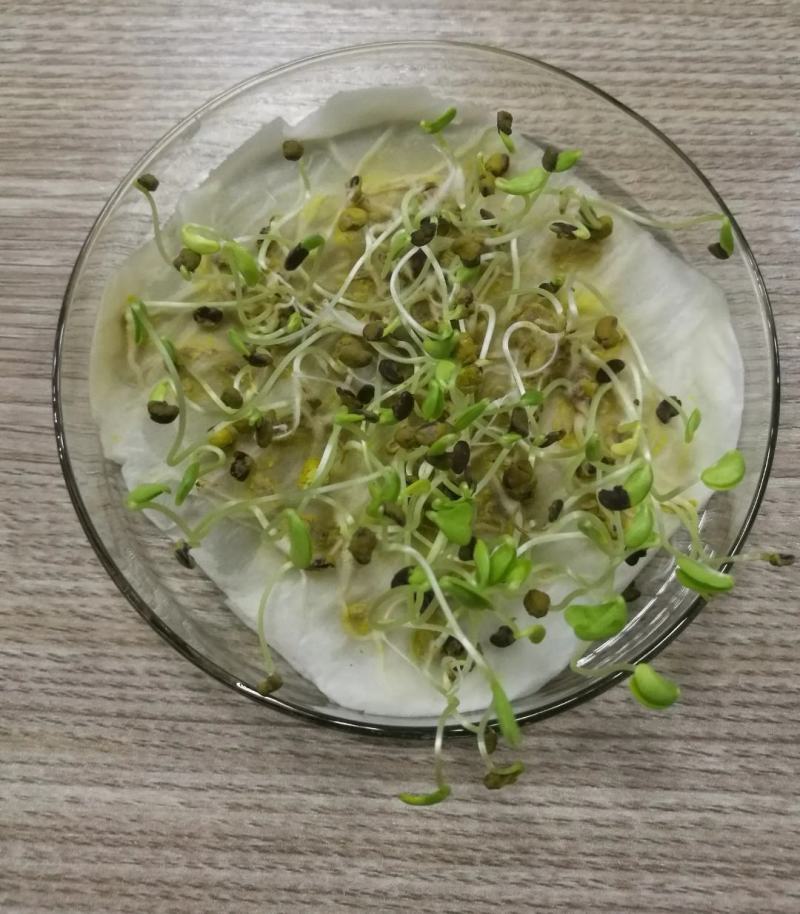 紫云英种子为果园绿肥,轮作,颗粒饱满,可供观花