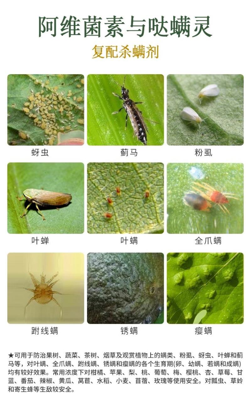荣邦阿维哒螨灵红蜘蛛果树蔬菜通用柑橘杀螨剂正品