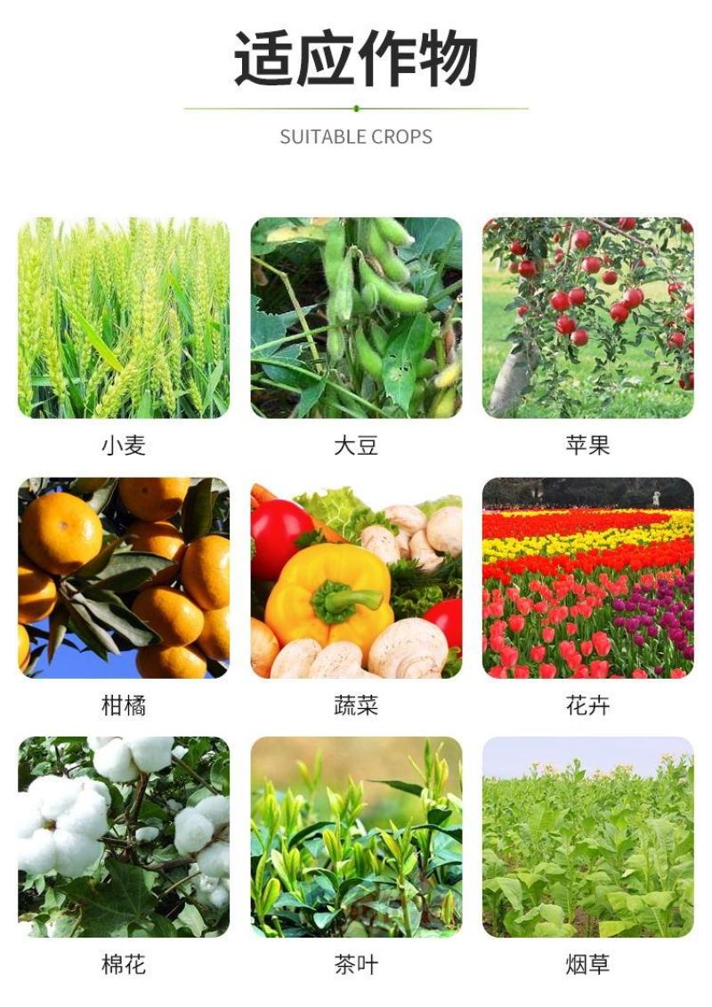 荣邦阿维哒螨灵红蜘蛛果树蔬菜通用柑橘杀螨剂正品