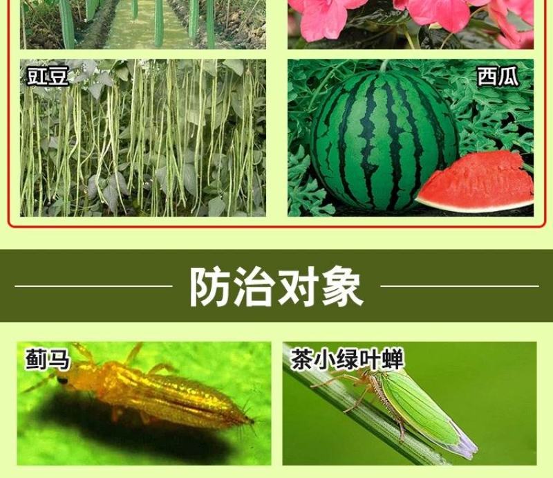 蓟霸斗蓟豆角西瓜茄子大葱柑橘花蓟马黑蓟马高效专用杀虫剂
