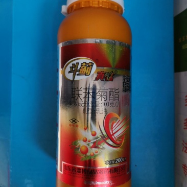 蓟霸斗蓟豆角西瓜茄子大葱柑橘花蓟马黑蓟马高效专用杀虫剂