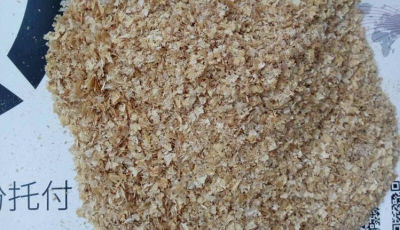 新疆棉籽壳，山东棉籽壳，河南棉籽壳，广东棉籽壳，湖北棉籽