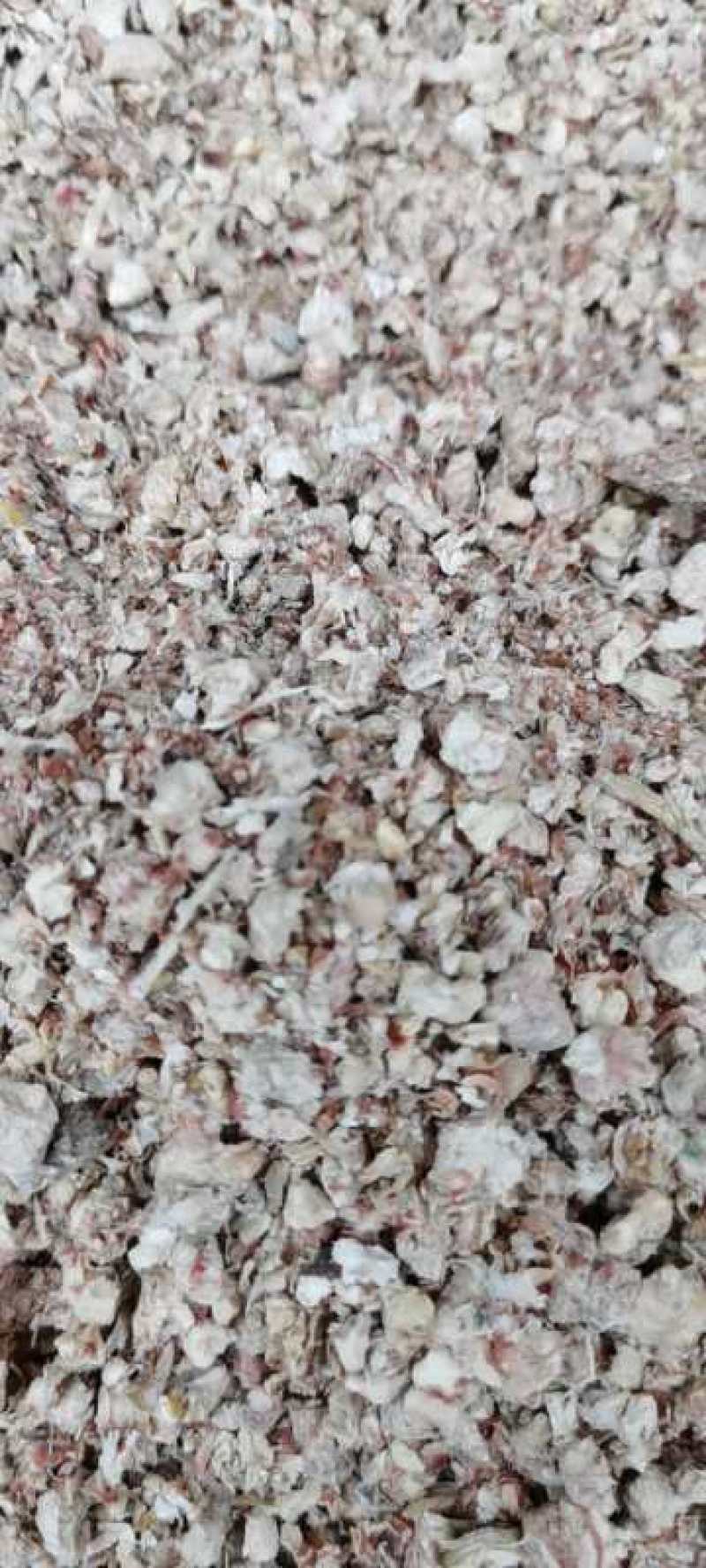 新疆棉籽壳，山东棉籽壳，河南棉籽壳，广东棉籽壳，湖北棉籽
