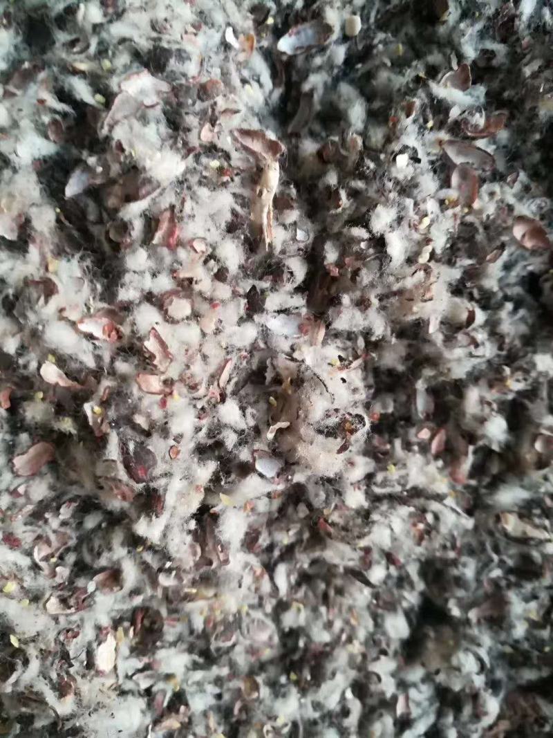 新疆棉籽壳，山东棉籽壳，河南棉籽壳，广东棉籽壳，湖北棉籽