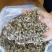 新疆棉籽壳，山东棉籽壳，河南棉籽壳，广东棉籽壳，湖北棉籽