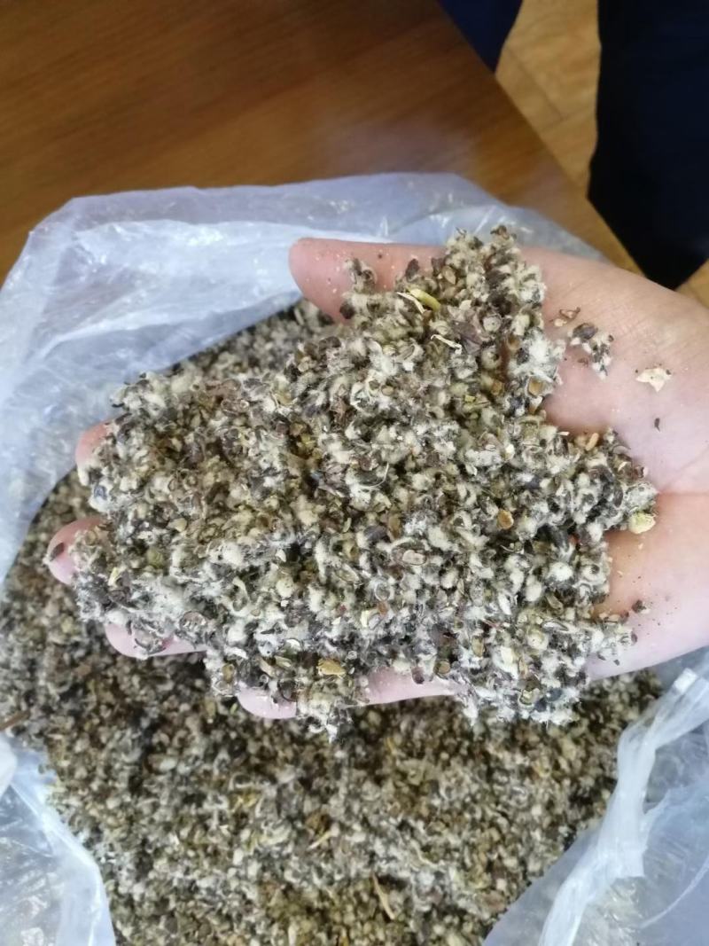 新疆棉籽壳，山东棉籽壳，河南棉籽壳，广东棉籽壳，湖北棉籽