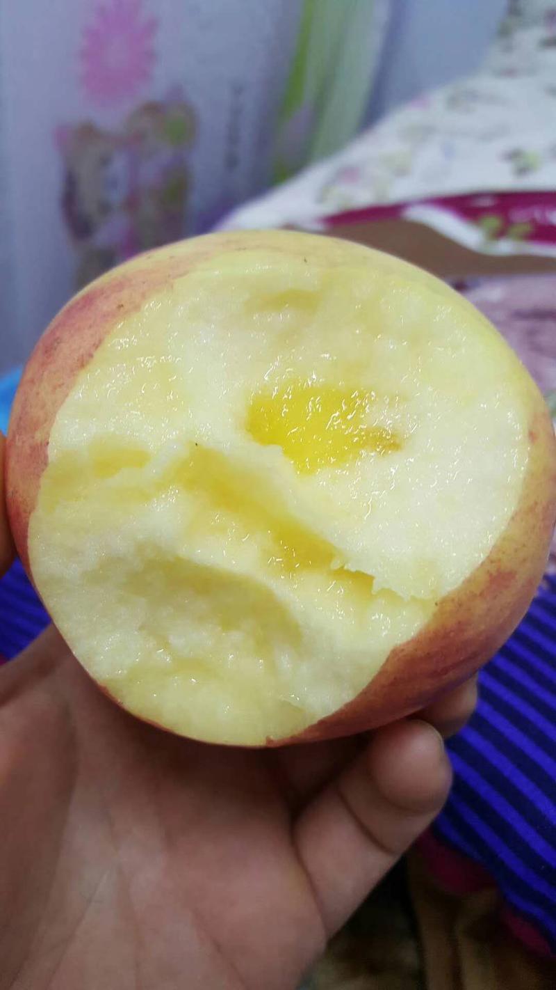 苹果价格红富士苹果批发山东苹果产地脆甜