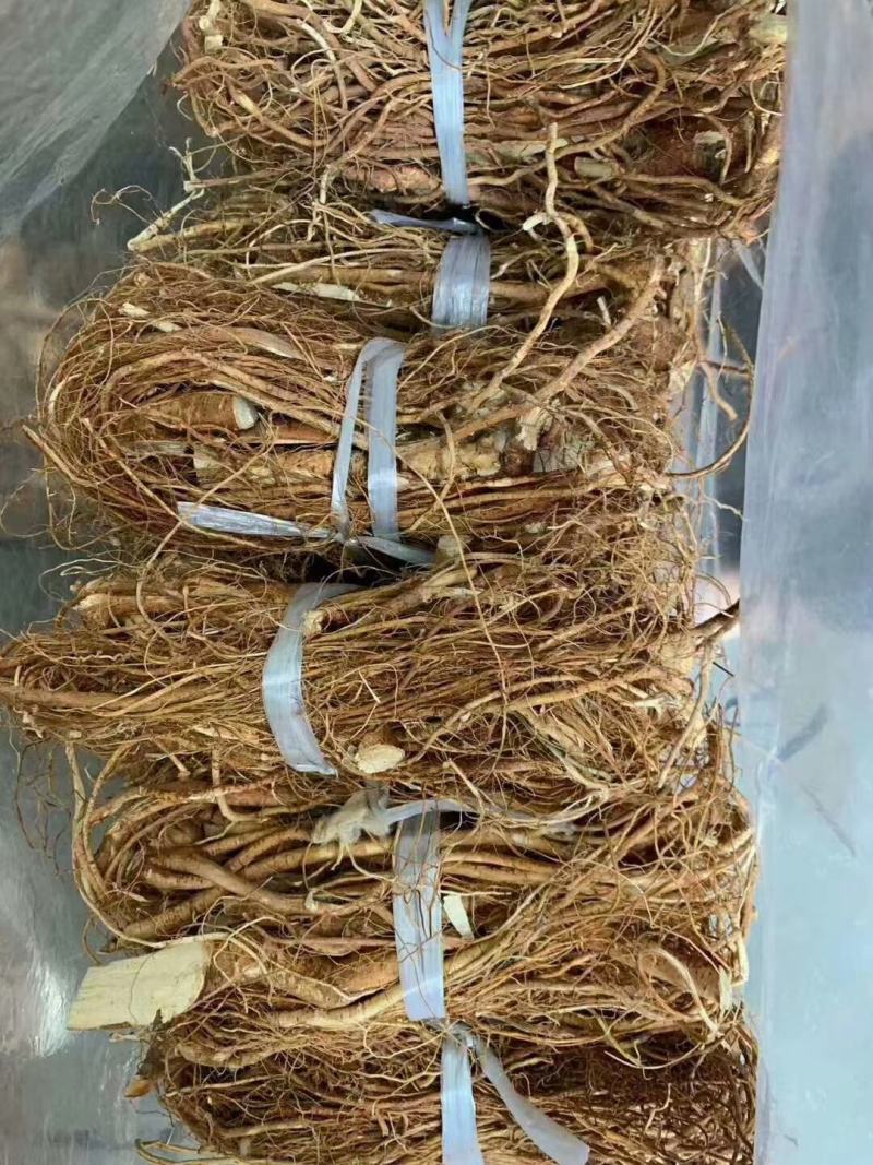 野生五指毛桃根煲汤靓货