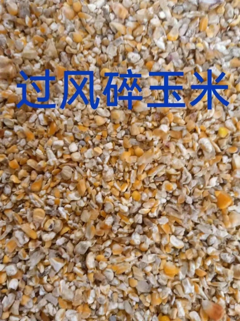 ｛优质好货｝碎玉米，适合作为柴鸡饲料、青年鸭饲料！