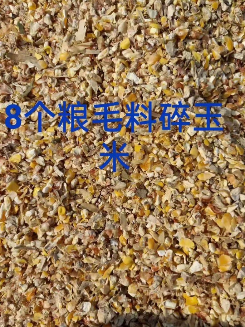 ｛优质好货｝碎玉米，适合作为柴鸡饲料、青年鸭饲料！