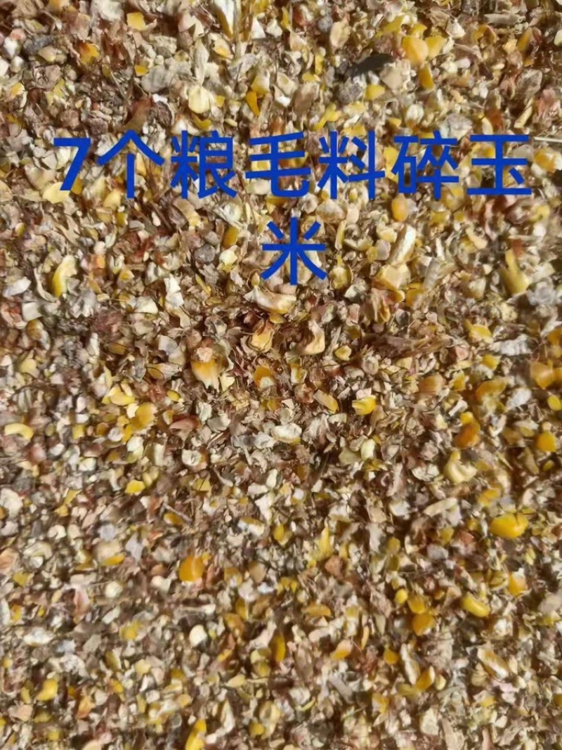 ｛优质好货｝碎玉米，适合作为柴鸡饲料、青年鸭饲料！