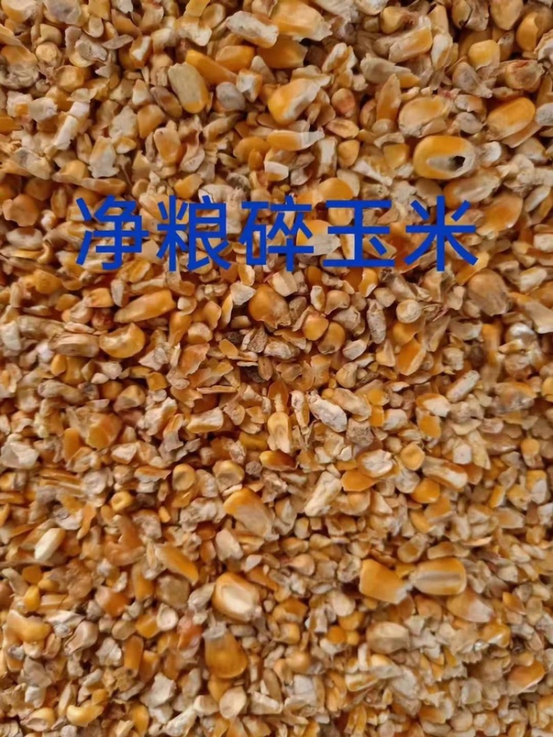 ｛优质好货｝碎玉米，适合作为柴鸡饲料、青年鸭饲料！