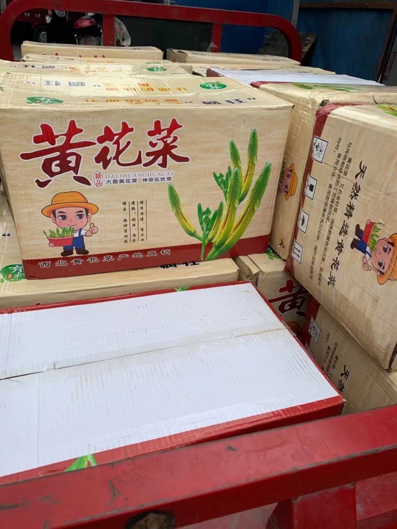 黄花菜，今年的新货，干度好颜色好价格美丽，需要的老板联系