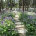 二月兰种子大量供应，春季3-4月观花品种,花海建植，绿