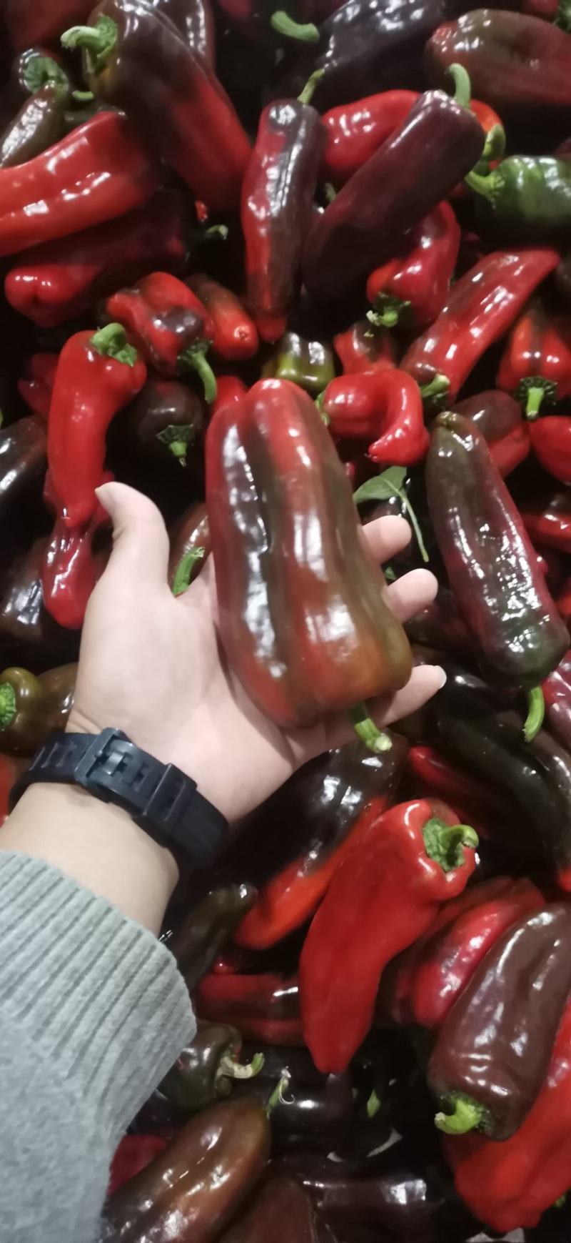 新鲜的辣椒上市！详情看图