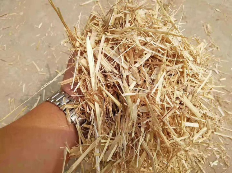 厂家直供牛羊稻草克拉丝柔丝稻草切断稻草整根稻草