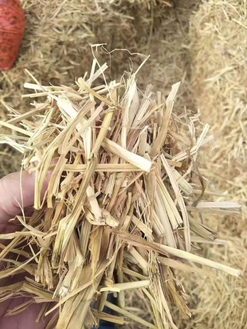 厂家直供牛羊稻草克拉丝柔丝稻草切断稻草整根稻草