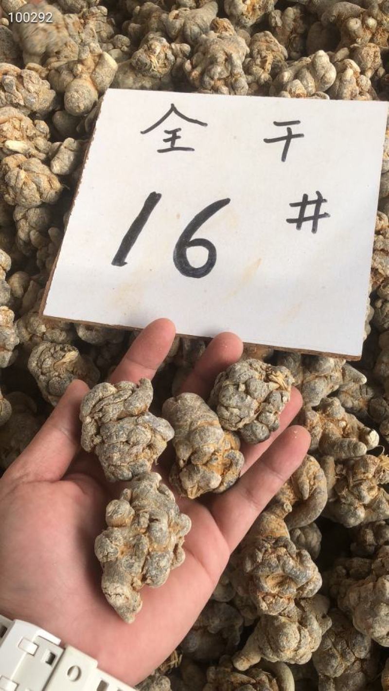 云南文山三七王田七8头10头12头14头大头子6年三七粉