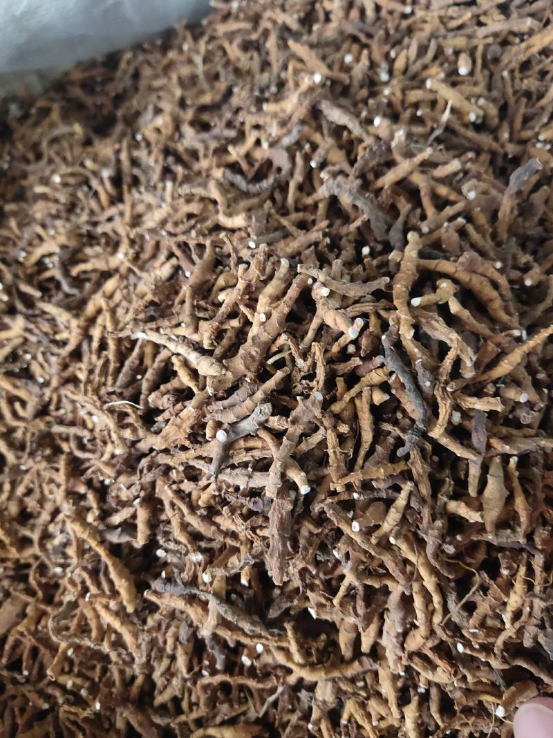 九节菖蒲中药材批发九节菖蒲菖蒲节菖蒲