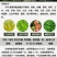 鑫星50%氯溴异氰尿酸蔬菜果树病毒病软腐病疮痂病纹枯病