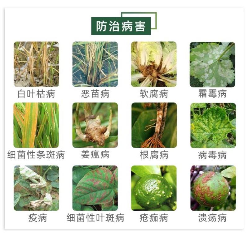 鑫星50%氯溴异氰尿酸蔬菜果树病毒病软腐病疮痂病纹枯病