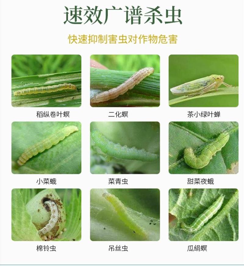 桃小符4%高氯甲维盐果树梨桃小食心虫菜青虫桃蛀螟杀虫剂等