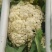 基地提供加工厂花菜大量现货
