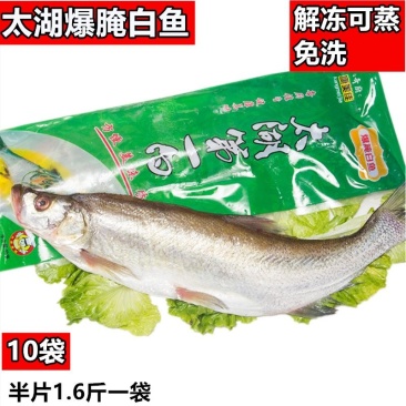 新鲜腌制大白鱼翘嘴鱼调味白鱼新鲜活白条鱼10条包邮