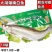 新鲜腌制大白鱼翘嘴鱼调味白鱼新鲜活白条鱼10条包邮