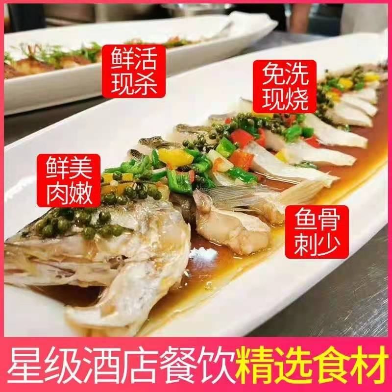 新鲜腌制大白鱼翘嘴鱼调味白鱼新鲜活白条鱼10条包邮