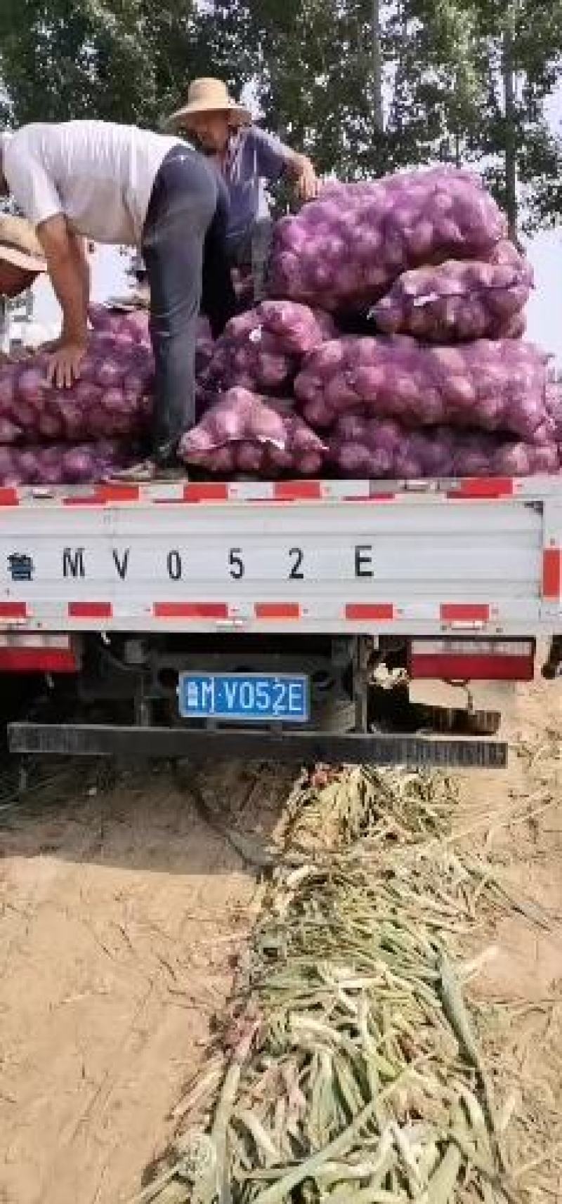 滨州惠民吴涛果蔬代购代销团队主营红皮洋葱和二红洋葱