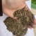 优质花生秧叶粉适用于牛羊马驴鹅猪草粉无土无膜
