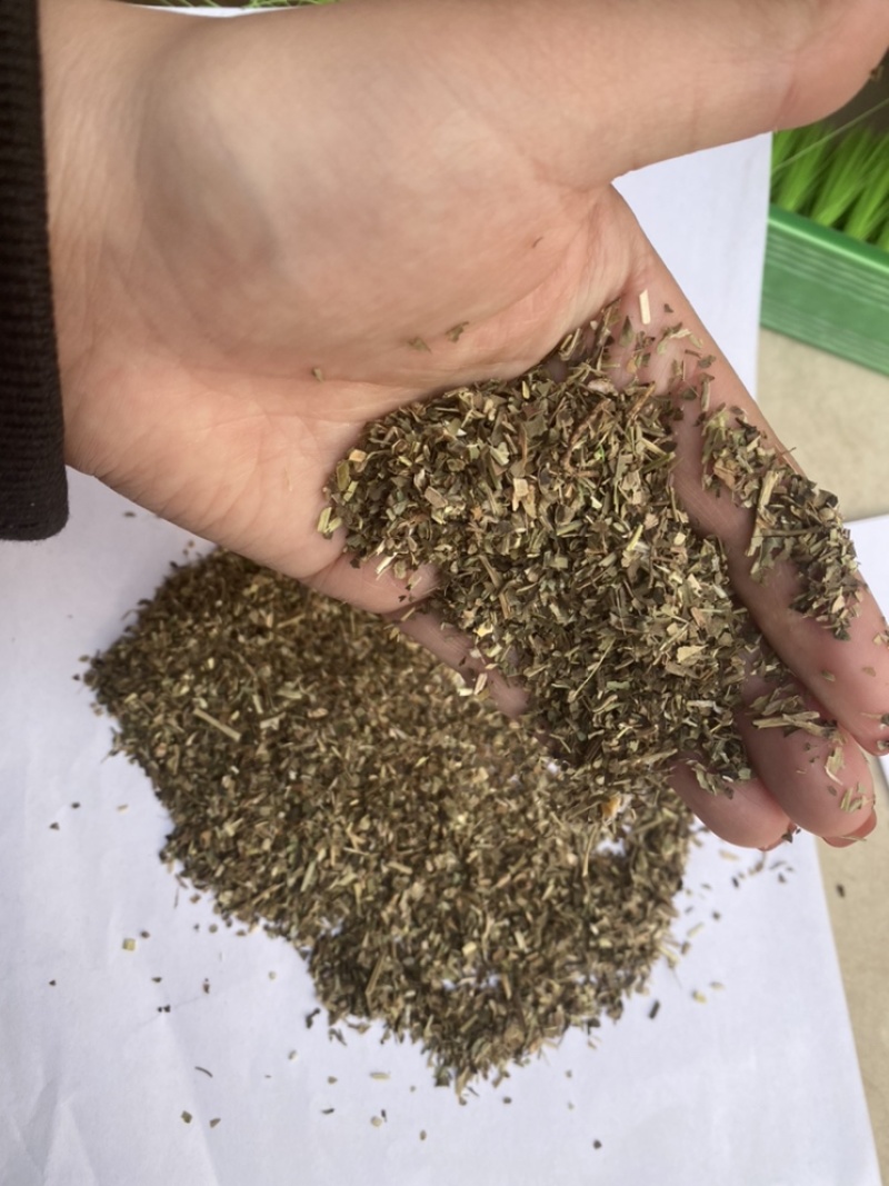 优质花生秧叶粉适用于牛羊马驴鹅猪草粉无土无膜