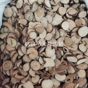 （杭白芍）浙江5年生高含量无硫熏规格齐全