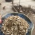 长年出售优质花生秧压块花生秧花生秧粉粉花生秧颗粒