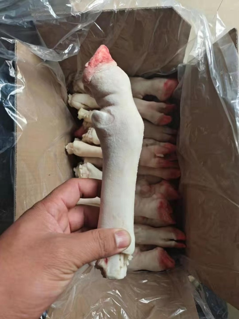 羊蹄净羊蹄干净羊蹄羊脚