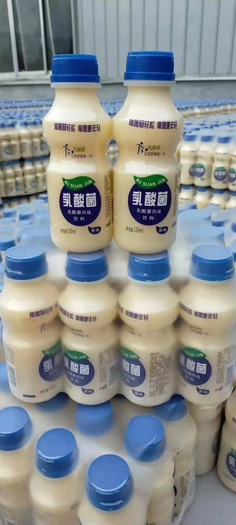 340*12瓶塑包乳酸菌，多种包装，口感好厂家直销